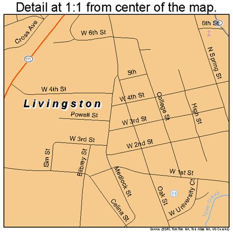 Livingston Tennessee Street Map 4743140