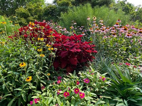 An Annual Adventure with Smithsonian Gardens - Smithsonian Gardens