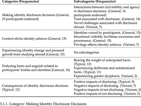 Categories And Subcategories Within The Reflecting On Identity And