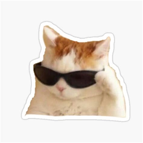 Cat With Glasses Meme Sticker For Sale By NeKiTDeSiGhNeR Redbubble