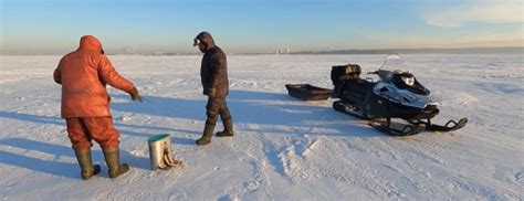 Новосибирская область