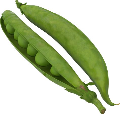 Pea Png Images Transparent Free Download