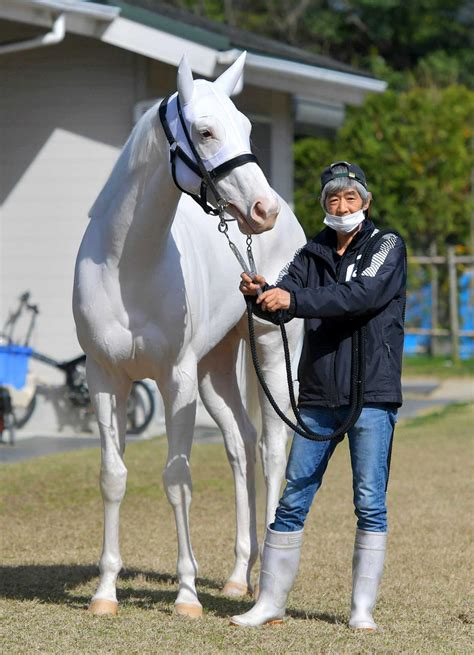 【桜花賞】ソダシ成長！いけるぞ無傷5連勝 大ベテラン今浪厩務員は自身の集大成に 競馬ニュース Netkeiba