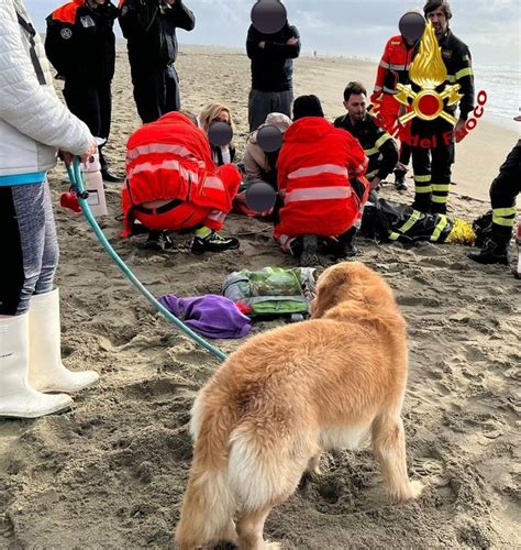 Viareggio Si Getta In Mare Per Salvare Il Cane Trascinato A Largo