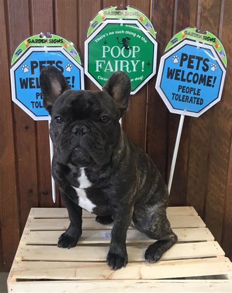 Our New Lawn Signs Have Sunnybrook Farms Pet Supply