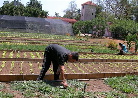 Proyecto de Agricultura Urbana impulsa producción artesanal de semillas