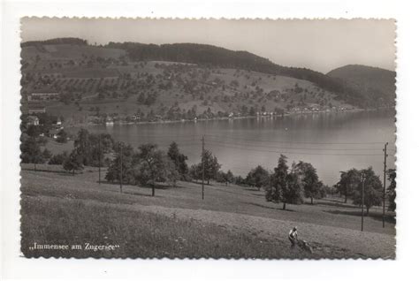 IMMENSEE Landwirtschaft Am Zugersee Kaufen Auf Ricardo