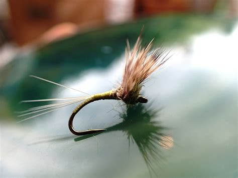 Deer Hair Emerger Variations Fly Fishing And Fly Tying Magazine