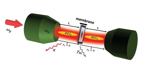 Color Online Schematic Of A Membrane In Themiddle Optomechanical