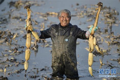 特色产业让农民“冬闲”变“冬忙”中国经济网——国家经济门户