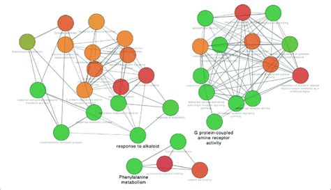 Go Network Analysis Based On Kernel Targets The Nodes In Different Download Scientific