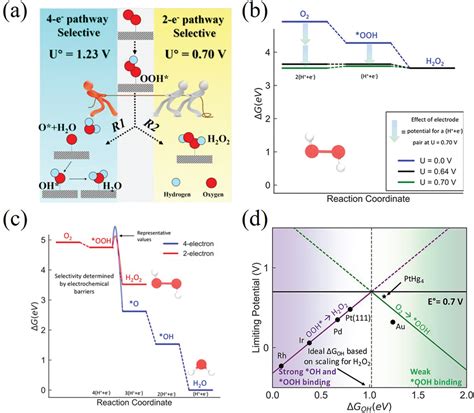 Recent Progress Of Electrochemical Production Of Hydrogen Peroxide By