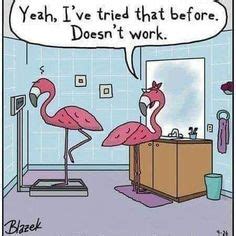 48 Best Flamingo Funny ideas | flamingo, pink flamingos, funny