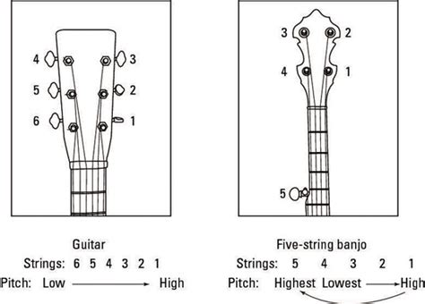 How to Identify the Five-String Banjo - dummies