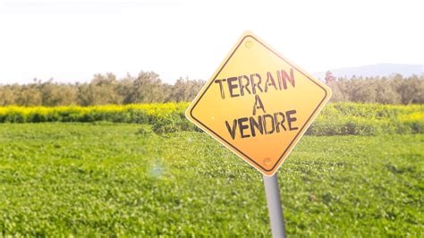 Maximiser Le Potentiel De Votre Terrain Vendre Un Terrain