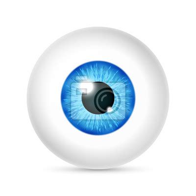 Vector Realistic Human Eyeball Wall Stickers Beatiful Retina