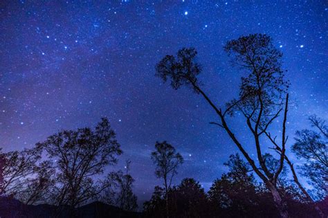 「満天の星空」「満天の星」「満点の星空」。正しいのはどれ？季節・暮らしの話題 2019年08月18日 日本気象協会 Tenkijp