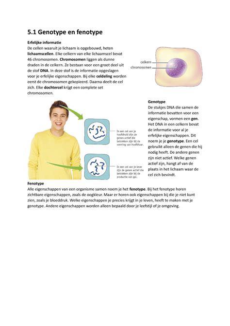 Bio Samenvatting H Hoi Hoi Genotype En Fenotype Erfelijke