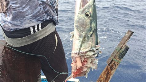 Epis Dio Acabei Adoecendo No Mar Mais Nao Faltou Adrenalina