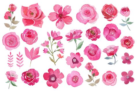 Watercolor Pink Roses Clipart Graphic By Nayem Khan · Creative Fabrica