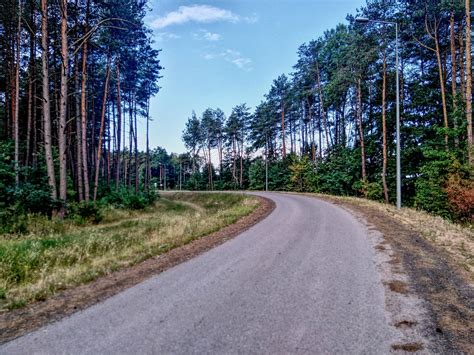 Poland Forest Way Free Photo On Pixabay Pixabay