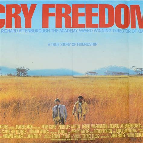 Top 5 South African Films