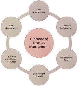 treasury management definition  functions business jargons