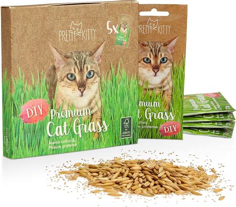 Premium Cat Grass Seeds For Planting 5x25g Plant Seeds For 50 Pots Natural Cat Treat Fibre