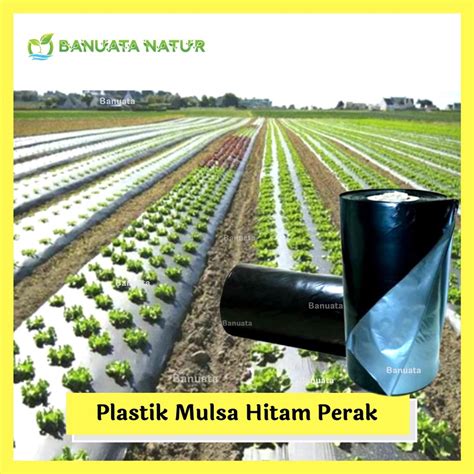 Jual Plastik Mulsa Pertanian Hitam Perak Tebal Micron Bahan Tebal