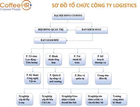 13 Mẫu sơ đồ tổ chức công ty phổ biến mới nhất 2023 Tải về EU