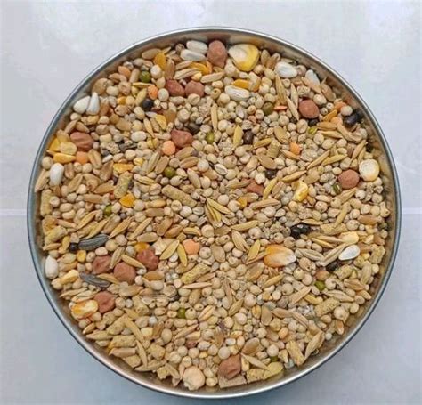 Pigeon Seed Mix Hen Food Pigeon Food at Rs 65/kg | Pigeon Feed in Hyderabad | ID: 2853978965348