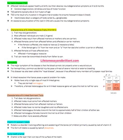 Microsoft Word Note Taking Template Sarseh