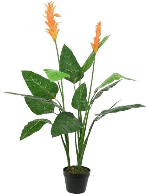 Groene Strelitzia Paradijsvogel Kunstplant 110 Cm In Zwarte Pot