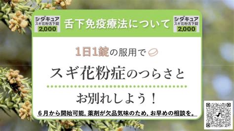 スギ花粉症の舌下免疫療法 シダキュア について 板橋区成増駅前かわい皮膚科