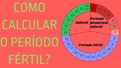 como calcular o período fértil Dicas sobre Gravidez YouTube