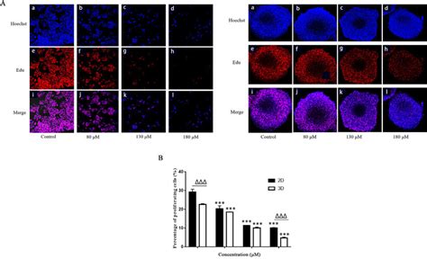 Antiproliferative Effects On Proliferation Of Hct116 Cells By Compound Download Scientific