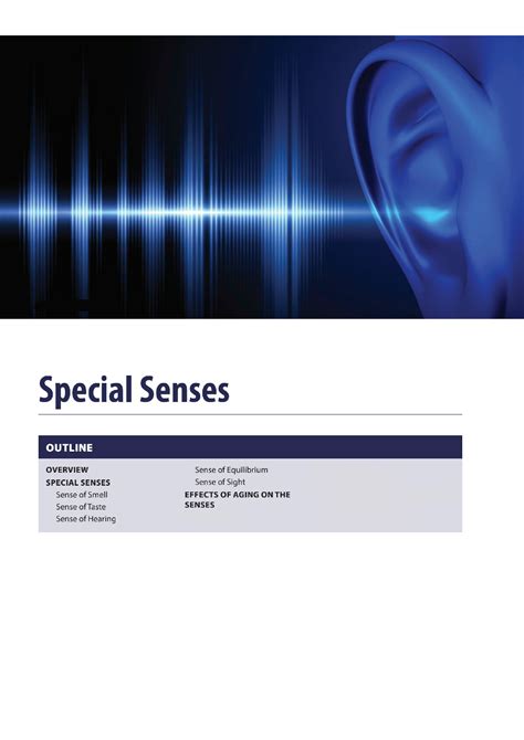 SOLUTION: "Special Senses". (Sense of Smell, Sense of Taste, Sense of ... 