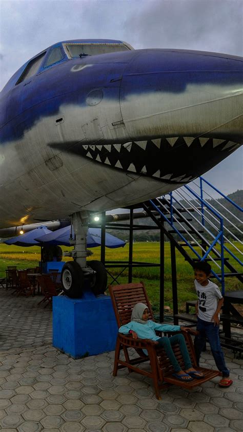 FOTO Menikmati Sensasi Unik Kafe Pesawat Di Tengah Sawah Kabupaten