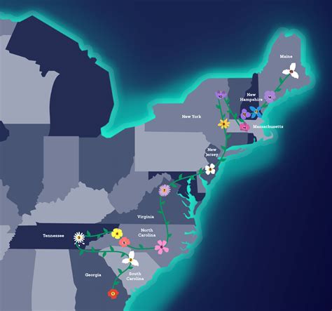 Spacious Skies Campgrounds Spring Bloom Trail 2024 - Spacious Skies