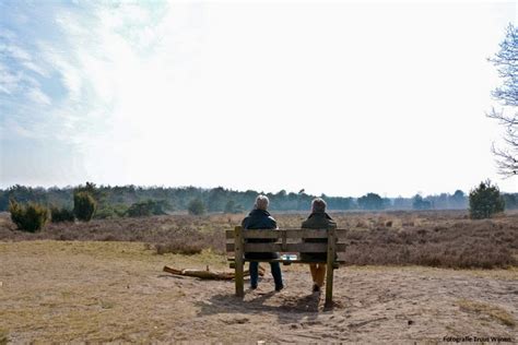 Wandel Fiets En Fotografieweblog Op Een Bankje Op De Borkeld