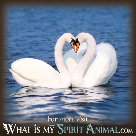 Swan Dreams Interpretation - What Is My Spirit Animal | Spirit, Totem ...