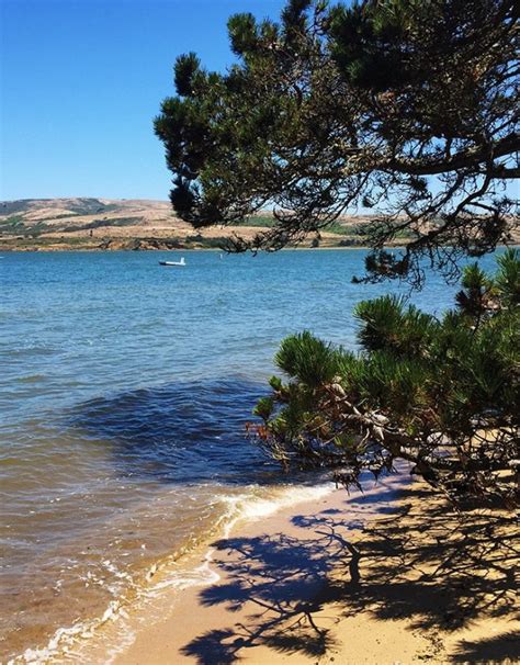 Hike At Tomales Bay State Park History Shade And The Beach Beckon