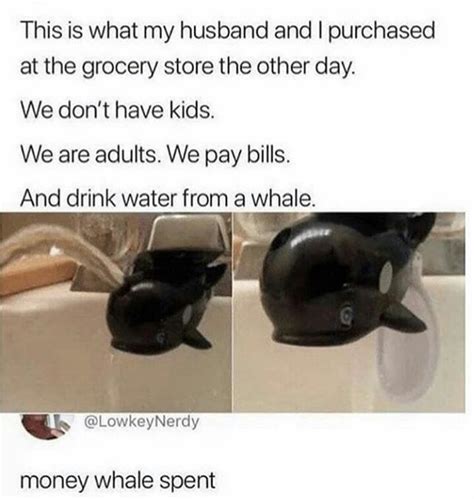 What Can I Say Except Youre Whalecum Meme By Nosherkhan Memedroid