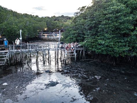 Sunsets And Beers At The Maquinit Hot Spring In Coron Travel Tramp