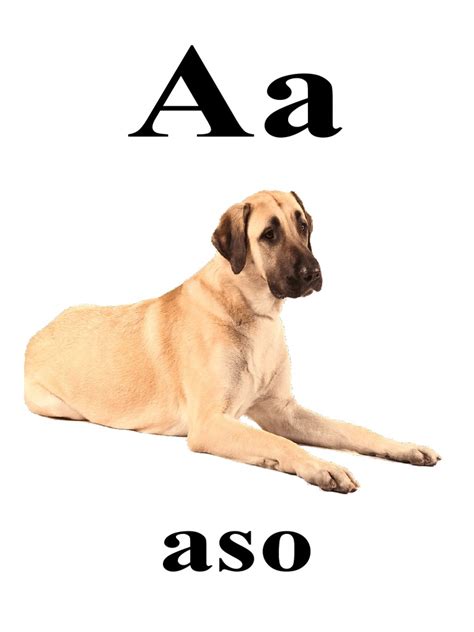 Alpabasa Pdf