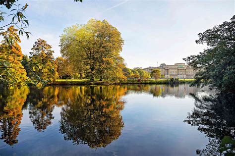 How To Grow A Palace Worthy Garden