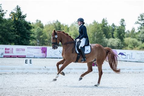 Galeria Cdn Bajardo Ukasz Kowalski Dressage Pl