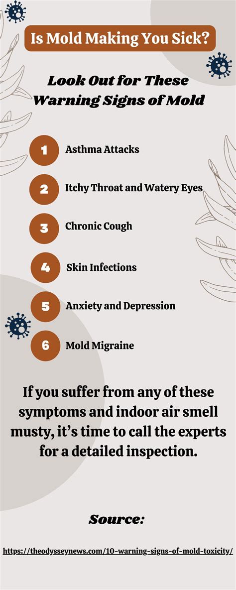 Is Mold Making You Sick by JM Environmental, Inc. - Issuu