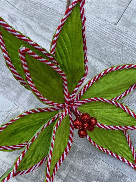 Poinsettia Peppermint Edge Poinsettia Stem 24 Long And 11 Diameter Etsy