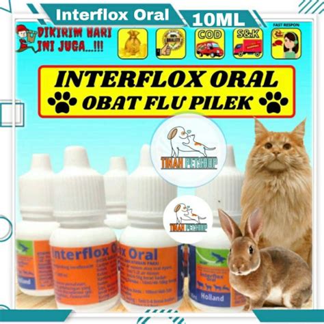 Jual Obat Flu Kelinci Kucing Interflox 10 Oral 10 Ml Gangguan